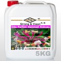 Oda Parfüm Hanımeli Kokusu 5kg